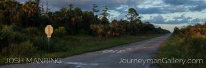 Josh Manring Photographer Decor Wall Art -  Florida Everglades -67.jpg